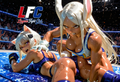 A6 Waifu Board LFC Mirko and Koneko