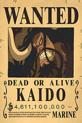 Painting 9x12 Wanted Poster Kaido