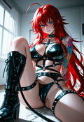 A6 Waifu Board Dangerous Pets Rias